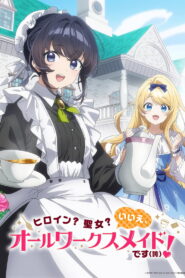 Heroine? Saint? No, I’m an All-Works Maid (and Proud of It)!