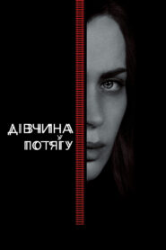 Дівчина у потягу