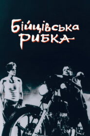 Бійцівська рибка